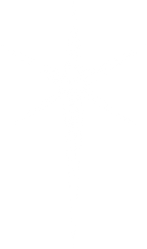 Made Of Blood